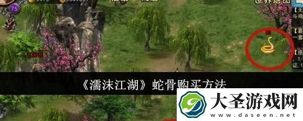 濡沫江湖蛇骨怎么购买