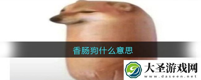 香肠狗什么意思