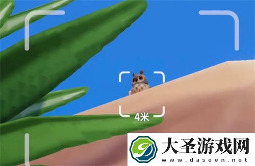 心动小镇观鸟图鉴稀有鸟类收集全攻略