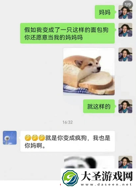 面包狗什么意思
