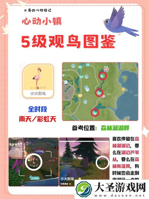 心动小镇五级观鸟详细位置整理一览