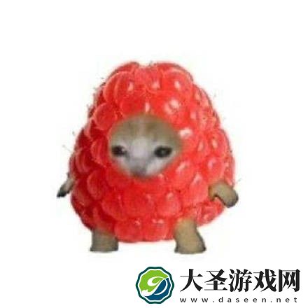 水果猫表情包大全动图