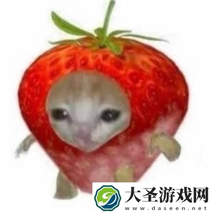 水果猫表情包大全动图