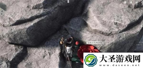 燕云十六声花中愿任务怎么做
