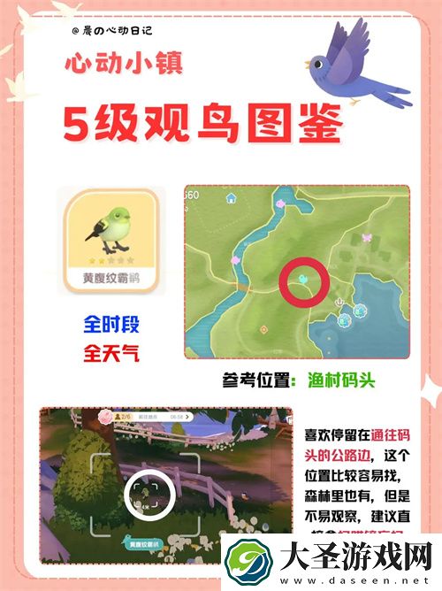 心动小镇五级观鸟详细位置整理一览