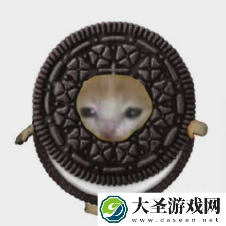 水果猫表情包大全动图