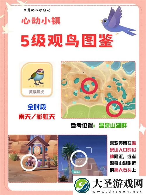 心动小镇五级观鸟详细位置整理一览