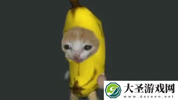 水果猫表情包大全动图