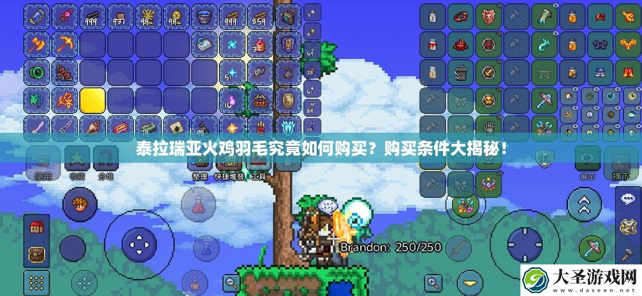 泰拉瑞亚火鸡羽毛究竟如何购买