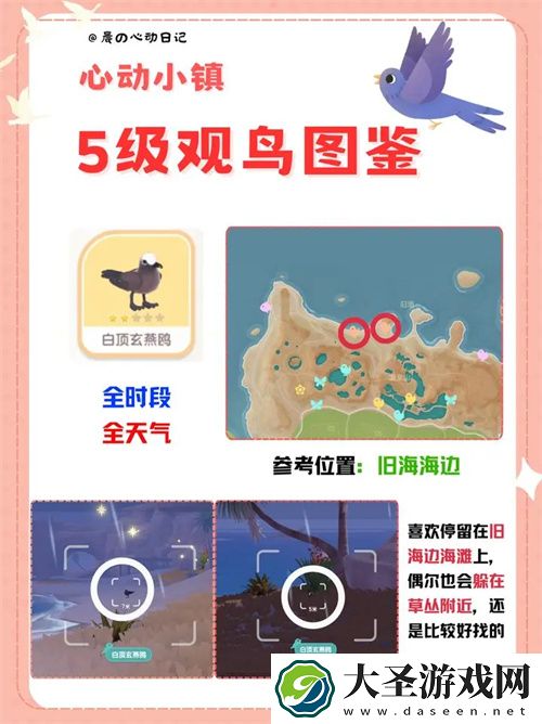 心动小镇五级观鸟详细位置整理一览