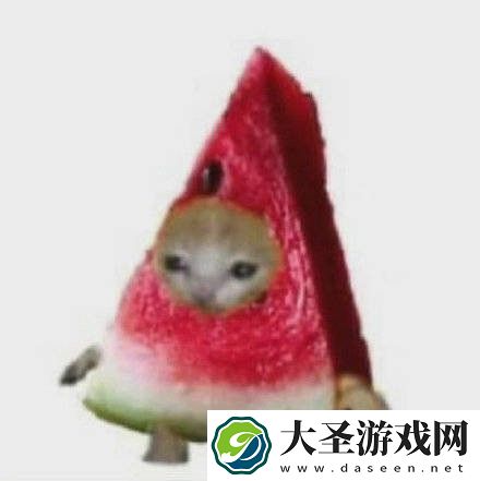水果猫表情包大全动图