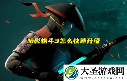 暗影格斗3怎么快速升级