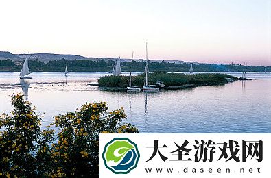 爆料不打烊