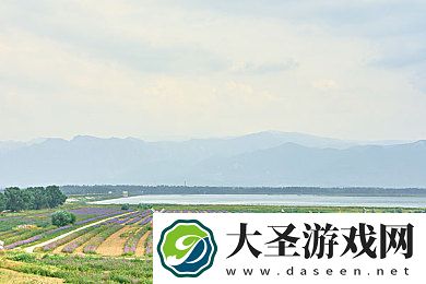 爆料不打烊