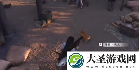 燕云十六声动物猫猫状元位置在哪里