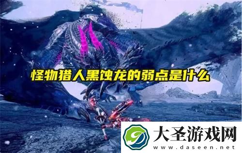 怪物猎人黑蚀龙的弱点是什么