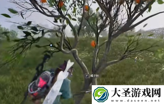 七日世界橘子采集位置在哪