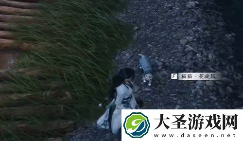燕云十六声猫猫花旋风位置在哪里