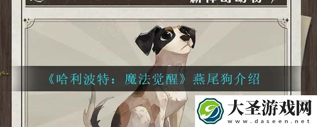 哈利波特魔法觉醒燕尾狗怎么样