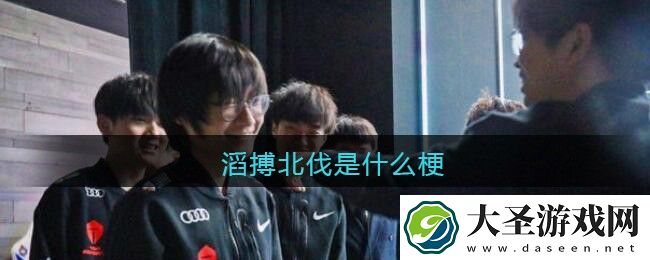 滔搏北伐是什么梗/意思