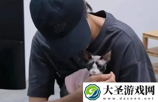 演员成果公司发道歉声明目前已接管其微博