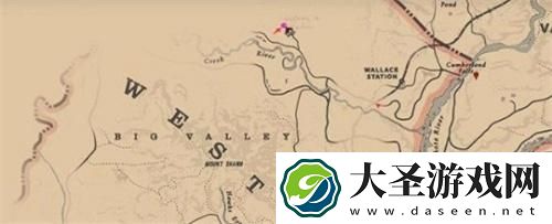 荒野大镖客老奶奶在哪