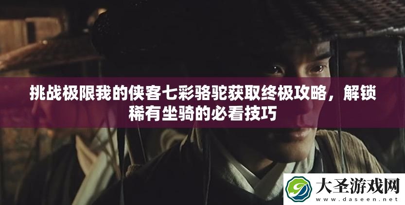 挑战极限我的侠客七彩骆驼获取终极攻略