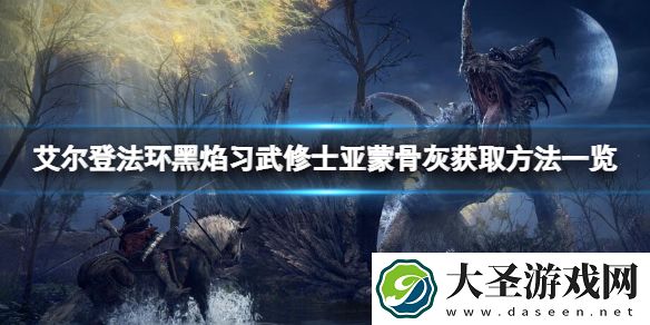 艾尔登法环黑焰习武修士亚蒙骨灰