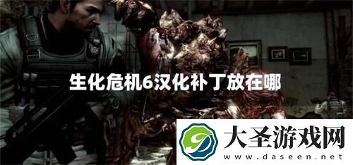 生化危机6汉化补丁放在哪