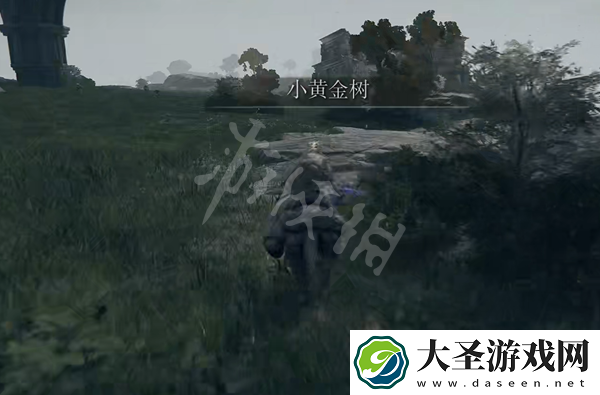 艾尔登法环日蚀纹熨斗形盾地点