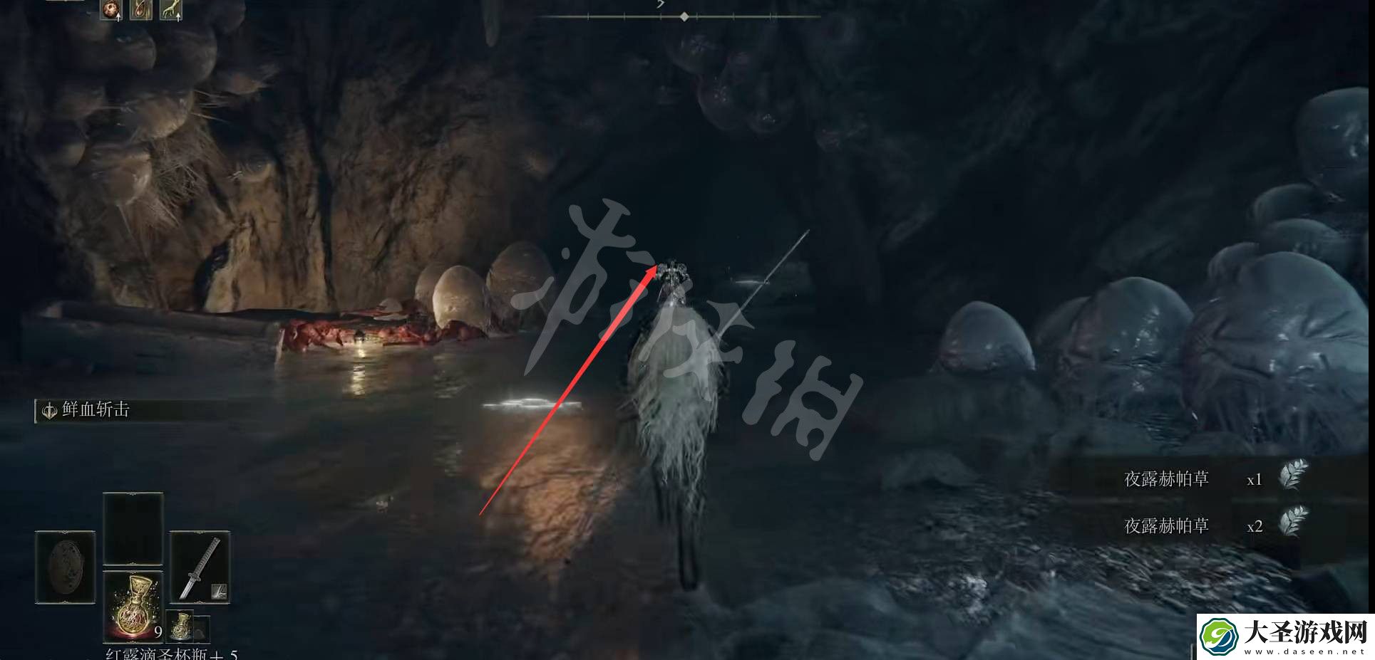 艾尔登法环灾厄之影在哪