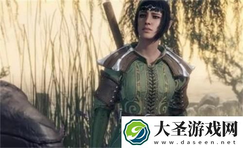 博德之门3艾琳女士盟友怎么获得