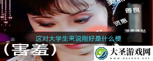 这对大学生来说刚好是什么梗/意思