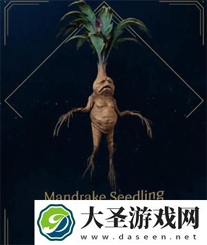 霍格沃茨之遗曼德拉草在哪买