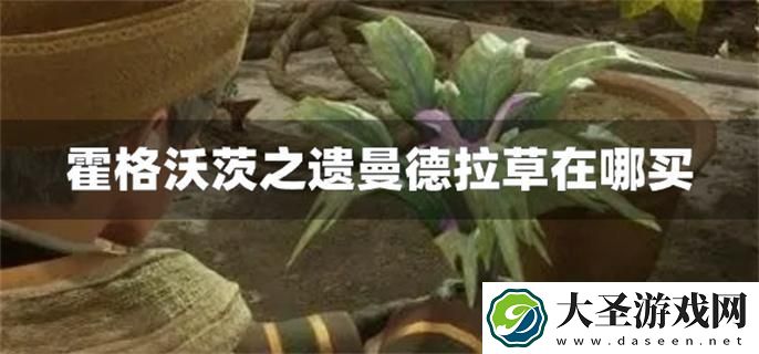 霍格沃茨之遗曼德拉草在哪买