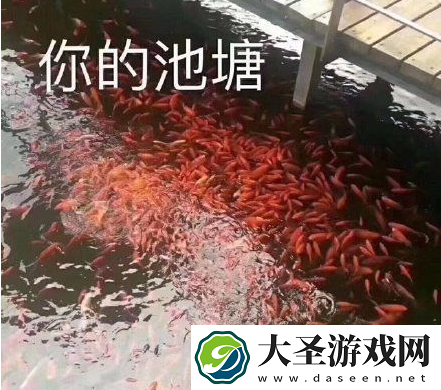 我像只鱼儿在你的鱼塘表情包大全