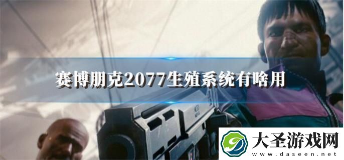 赛博朋克2077**系统有啥用