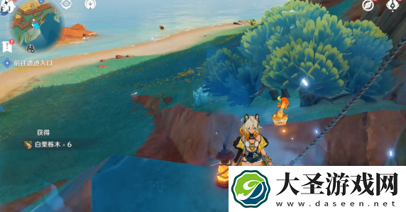 原神白栗栎木在哪采集