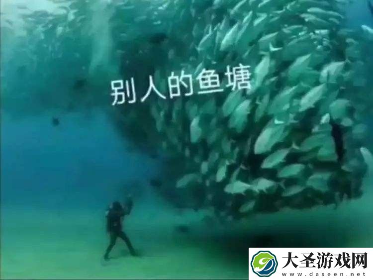 我像只鱼儿在你的鱼塘表情包大全