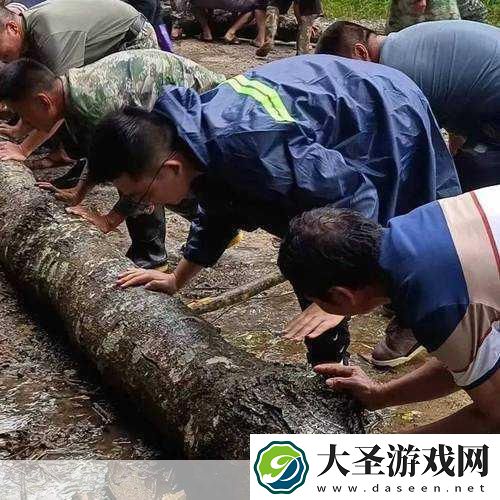 风雨同舟战摩羯