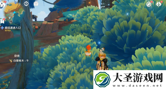 原神白栗栎木在哪采集