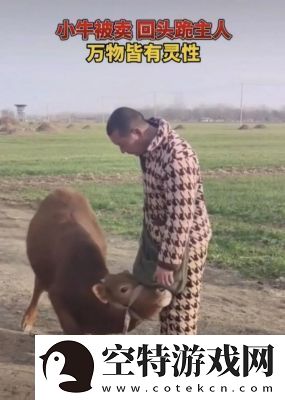 跪地迎接主人