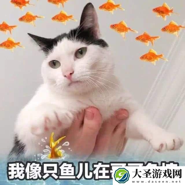 我像只鱼儿在你的鱼塘表情包大全
