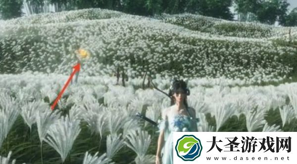 燕云十六声宝箱位置怎么显示