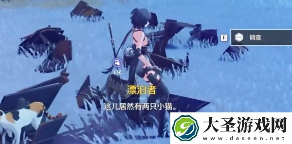 鸣潮帮小棠找猫任务完成攻略分享