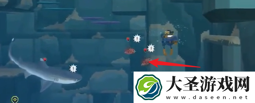 潜水员戴夫银泰坦板甲鱼怎么抓