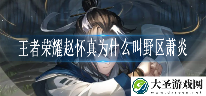 王者荣耀赵怀真为什么叫野区萧炎