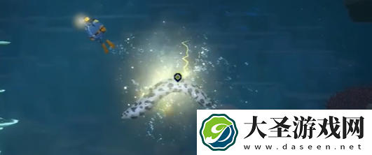 潜水员戴夫斑点海鳗怎么抓