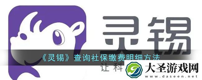 灵锡怎么查社保明细