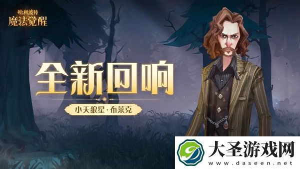 哈利波特魔法觉醒小天狼星布莱克回响怎么样